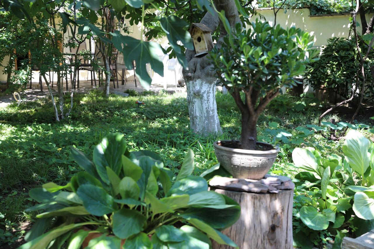 4Bd Appartaments With Cozy Garden Tiflis Dış mekan fotoğraf